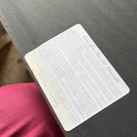 Vintage - Picture 5 of 5